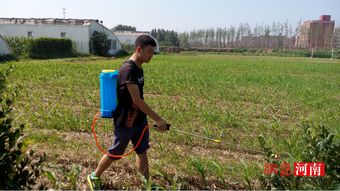 河南農業大學園藝學院“三下鄉”實踐活動助力鄉村振興
