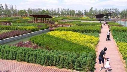 商標45個類別詳解 農業園藝服務所屬類別及重要性