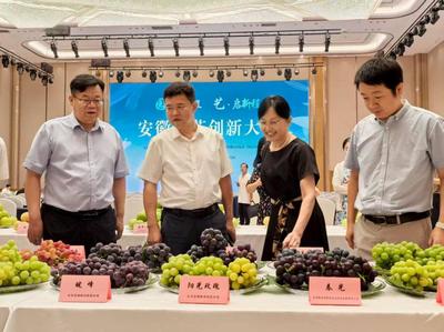 安徽?qǐng)@藝創(chuàng)新大會(huì)在合肥召開(kāi) 推動(dòng)農(nóng)業(yè)園藝服務(wù)高質(zhì)量發(fā)展