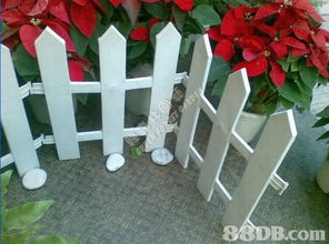 綠森林園藝 一站式專(zhuān)業(yè)園藝服務(wù)專(zhuān)家