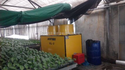 園藝暖風(fēng)機(jī) 現(xiàn)代化溫室大棚的溫度守護(hù)者