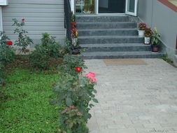 探秘農(nóng)科院種子購(gòu)買(mǎi)指南 聚焦園藝與農(nóng)業(yè)服務(wù)