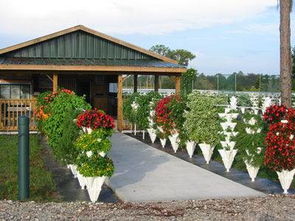 堆垛園藝 垂直農(nóng)業(yè)發(fā)展中易于推廣的技術(shù)新星